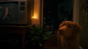 Задник к фильму "Хороший мальчик" #517195