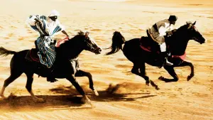 Задник к фильму "Возвращение черного скакуна" #494745