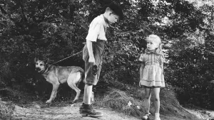 Задник к фильму "Запрещённые игры" #441804