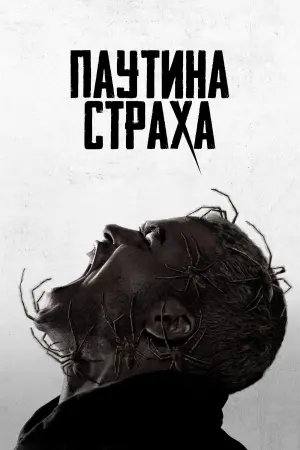Постер к фильму "Паутина страха" #463370