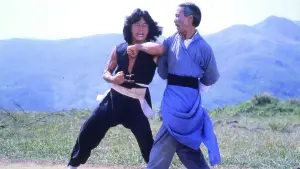 Задник к фильму "Молодой мастер" #721926