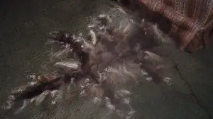 Задник к фильму "Рождественские каникулы" #676831