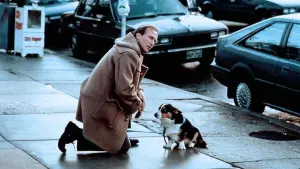 Задник к фильму "Турист поневоле" #470641