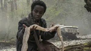 Задник к фильму "" #621317