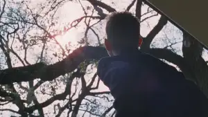 Задник к фильму "Древо жизни" #852814