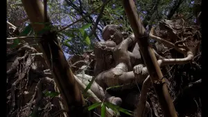 Задник к фильму "Поездка в Индию" #388721