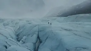 Задник к фильму "" #365363