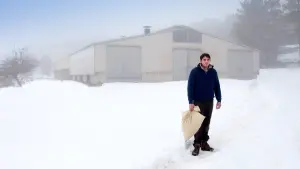 Задник к фильму "Магия зверя" #447765