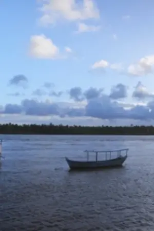 Постер к фильму "Anna Mariani - Photographic Notes"