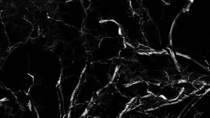 Задник к фильму "Dreams, Confessions and The End Of The World" #772857