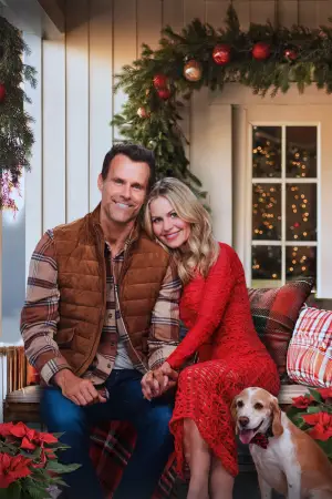 Постер к фильму "Домашнее Рождество" #697829