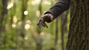 Задник к фильму "Синистер. Семейное проклятие" #628858