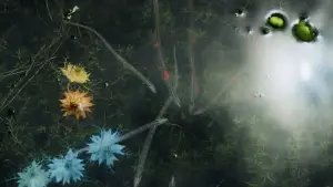 Задник к фильму "Аннигиляция" #618537