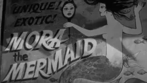 Ночной прилив