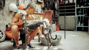 Задник к фильму "" #600700