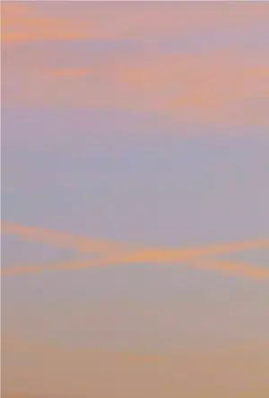 Постер к фильму "Home! Home!"