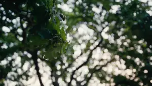 Задник к фильму "Одно целое" #527927