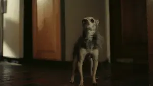 Задник к фильму "" #367229