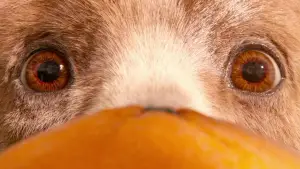 Задник к фильму "Приключения Паддингтона" #674570