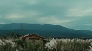 Задник к фильму "" #685527