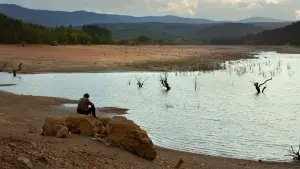 Задник к фильму "Дикая груша" #451593