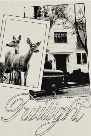 Постер к фильму "Сумерки" #519889