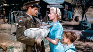 Задник к фильму "Пэйтон Плейс" #452917