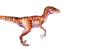 Задник к фильму "Парк Юрского периода 2: Затерянный мир" #281864