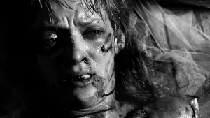 Задник к фильму "Убить Билла: Фильм 1" #503959