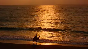 Задник к фильму "Лоуренс Аравийский" #627740