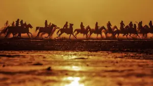 Задник к фильму "Клинки хранителей" #760873