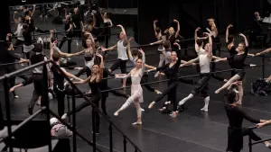 Задник к фильму "Чёрный лебедь" #202215