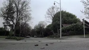 Задник к фильму "Хэллоуин" #610876