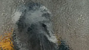 Задник к фильму "Облако" #596299