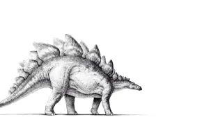 Задник к фильму "Парк Юрского периода 2: Затерянный мир" #281868