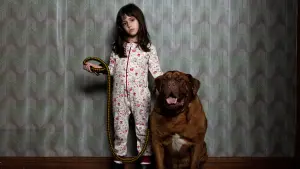 Задник к фильму "Одержимые злом" #163061