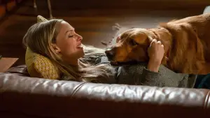 Задник к фильму "Невероятный мир глазами Энцо" #716548