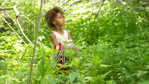 Задник к фильму "Звери дикого Юга" #260752