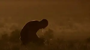 Задник к фильму "Волчья яма" #612966