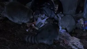 Задник к фильму "На лоне природы" #287469