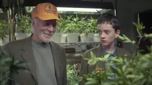 Задник к фильму "Границы" #460830