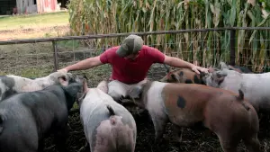 Задник к фильму "" #476242