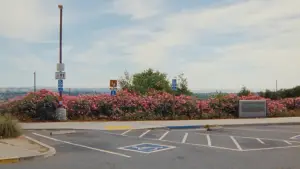 Задник к фильму "Проект «Убийца Зодиак»" #780235