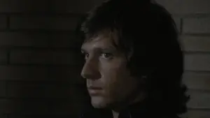 Задник к фильму "Четыре мухи на сером бархате" #283183