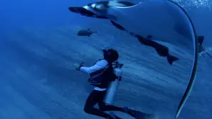 Видео к фильму Alien Contact | 2024 SBIFF Trailer - Alien Contact