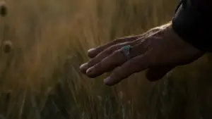 Задник к фильму "Гладиатор" #552947