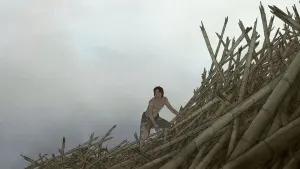 Задник к фильму "Красная черепаха" #212005