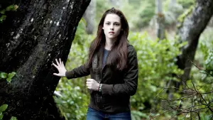 Задник к фильму "Сумерки. Сага: Новолуние" #519808