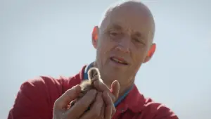 Задник к фильму "" #312199