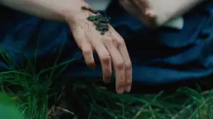 Задник к фильму "Фаворитка" #743258